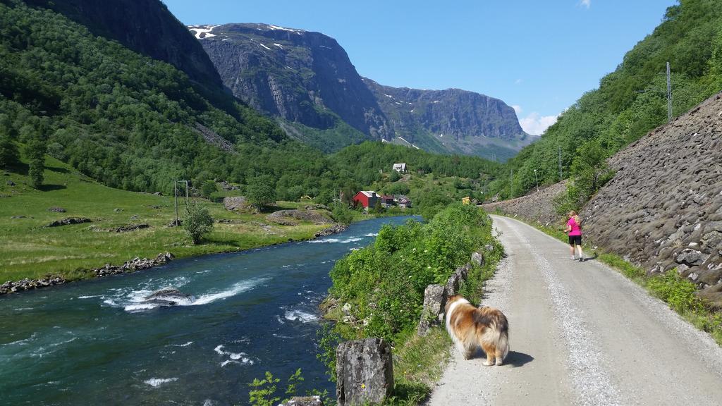 Steinsholen Holiday Home Flåm Extérieur photo