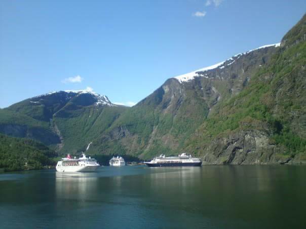 Steinsholen Holiday Home Flåm Extérieur photo