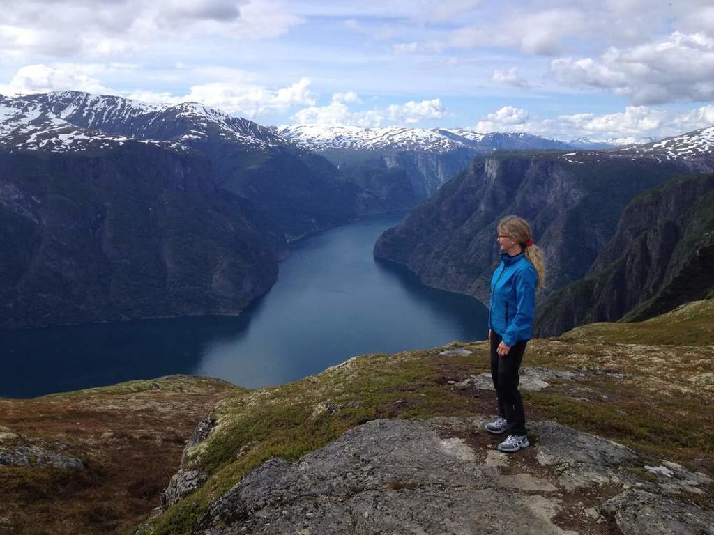 Steinsholen Holiday Home Flåm Extérieur photo